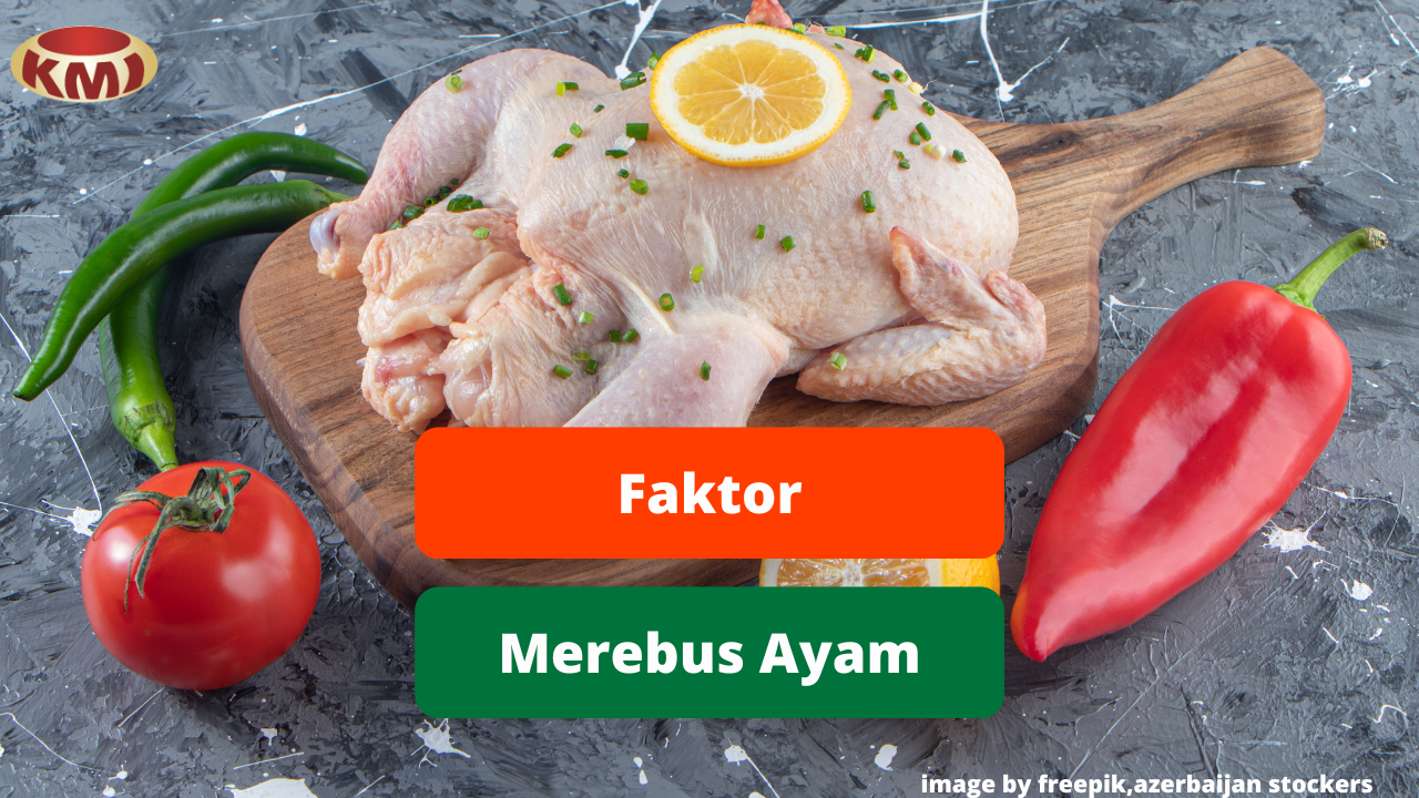Ketahui Faktor Dalam Merebus Daging Ayam